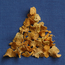 Cornflakes